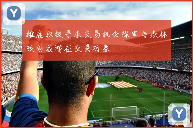 雄鹿积极寻求交易机会绿军与森林狼或成潜在交易对象